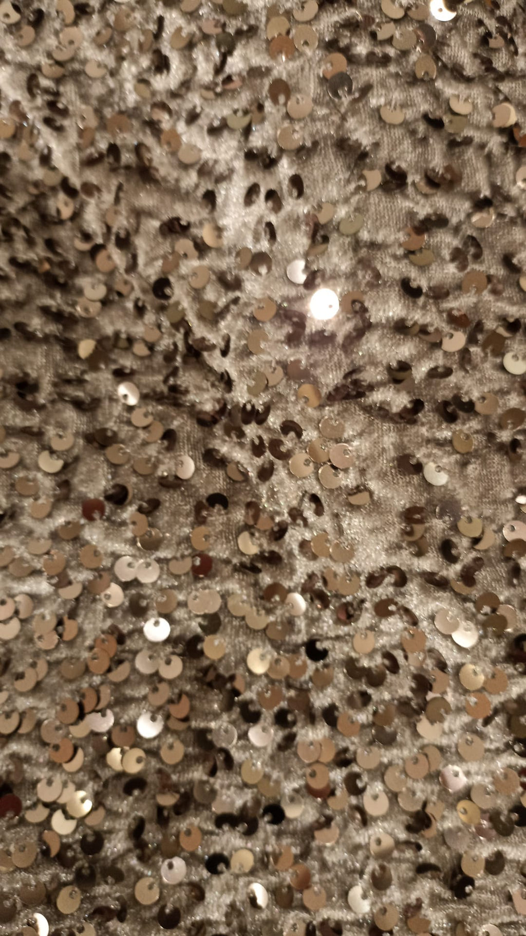 DIXIE PANTALONCINO ARGENTO