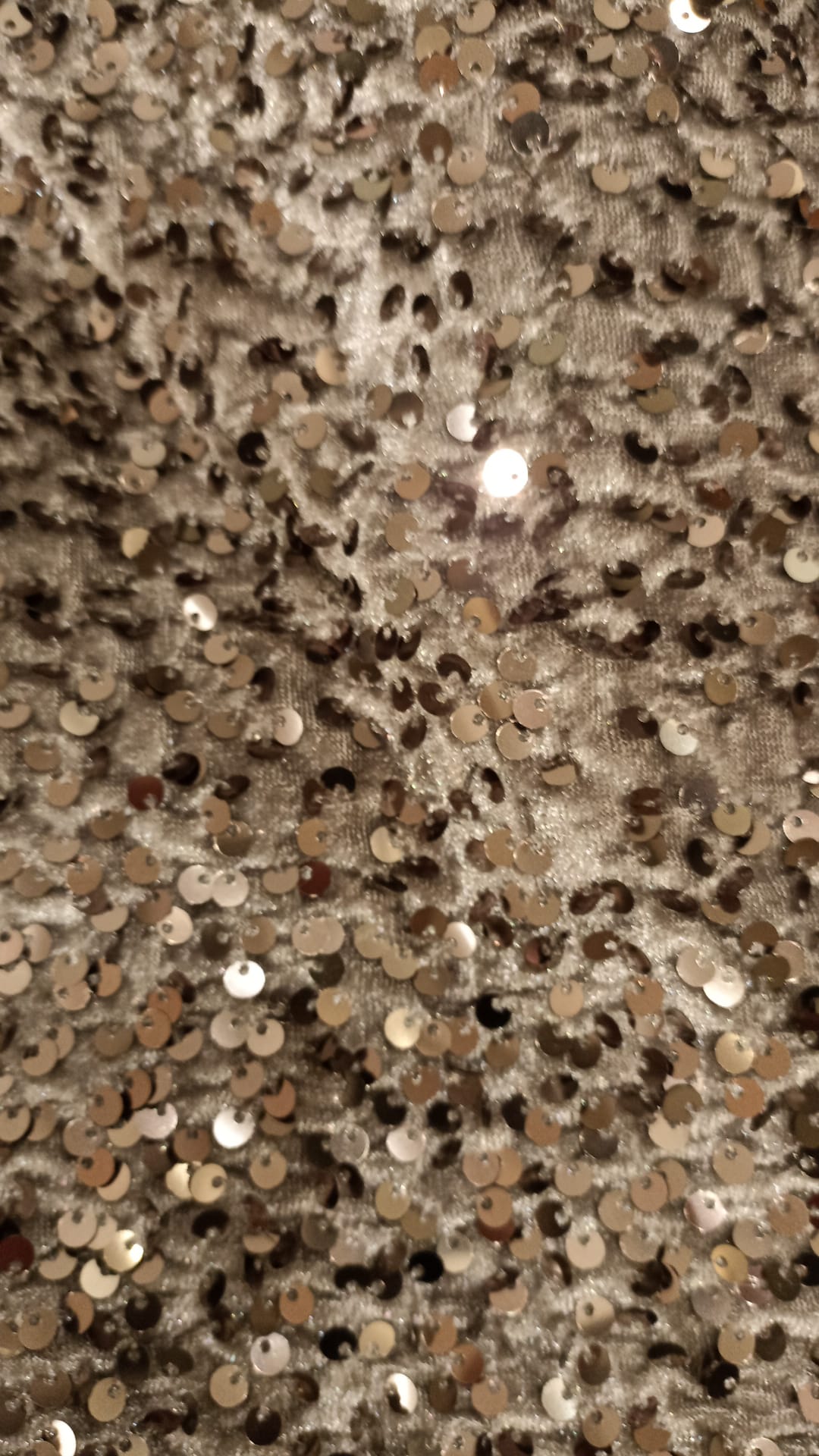 DIXIE PANTALONCINO ARGENTO